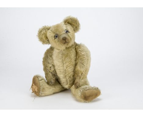 An interesting British teddy bear 1920s,  With blonde mohair, clear and black glass eyes with brown painted backs, pronounced