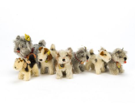 Seven post-war Steiff dogs, A seated Molly —3½in. (9cm.) high, three Foxy terriers and three Tessie schnauzers, seven buttons