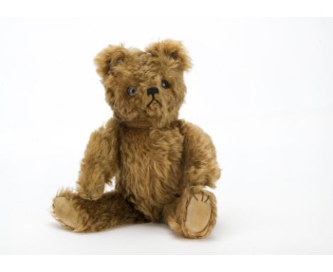 A rare FADAP teddy bear 1935 with button, Shaggy light brown mohair, clear and black glass eyes with remains of brown painted