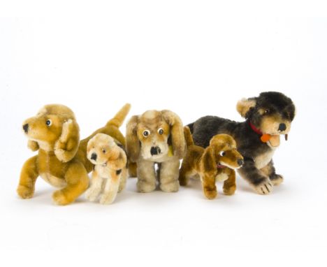 Five Steiff post-war dogs, A Beppo —8in. (20cm.) long and two Hexie dachshunds, a Biggie beagle and a Basset, five buttons an