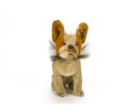A rare Steiff seated Bully late 1920s, with ginger and white mohair, clear and black glass eyes with brown backs, velvet muzz