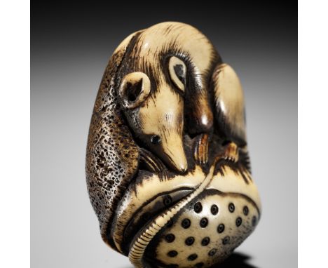 A GOOD ANTLER NETSUKE OF RAT ON LOTUS PODUnsignedJapan, probably Kyoto, late 18th to early 19th century, Edo period (1615-186