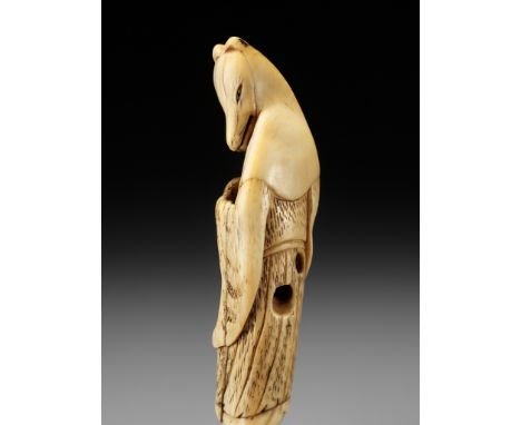 A GOOD IVORY NETSUKE OF A FOX PRIEST (HAKUZOSU)UnsignedJapan, 18th century, Edo period (1615-1868)Standing enveloped in a lon