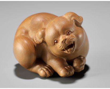 KANGYOKU: A FINE CONTEMPORARY WOOD NETSUKE OF A PUPPYBy Noriyoshi Tachihara (Kangyoku), signed Risshisai Kangyoku 立志斎 寛玉Japan