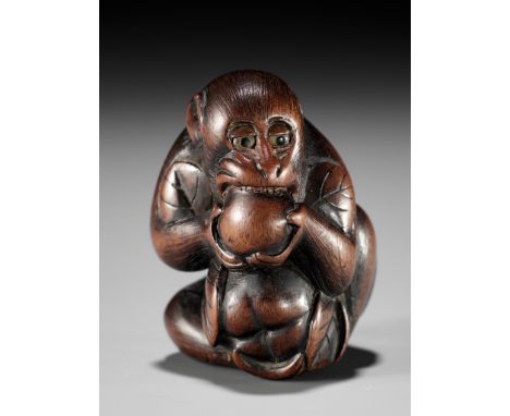 TOMOKAZU: A FINE WOOD NETSUKE OF A MONKEY EATING PERSIMMONSWorkshop of Kano Tomokazu, signed Tomokazu 友一Japan, Gifu, 19th cen