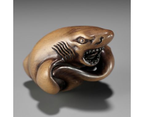 LEIGH SLOGGETT: SHARKBy Leigh Sloggett (b.1960), signed LS Biri 美里Australia, 1993Finely carved as a ferocious shark twisted i