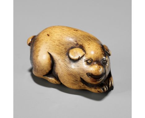 A RARE ANTLER NETSUKE OF A PUPPY, ATTRIBUTED TO TSUNEMASAAttributed to Tsunemasa, unsignedJapan, Kyoto, early to mid-18th cen