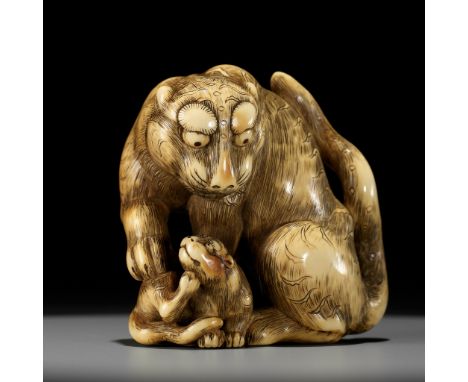 A SUPERB IVORY NETSUKE OF A TIGER WITH CUB, ATTRIBUTED TO TOMOTADAAttributed to Tomotada, unsignedJapan, Kyoto, late 18th cen