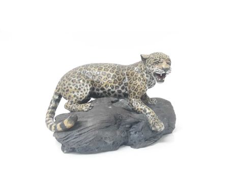 Sallie Wakeley (born 1967) ceramic sculpture of a leopard, signed and dated 2001, 29cm wide, 18cm highCondition report: In go