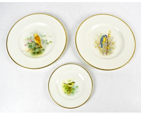 ROYAL WORCESTER; two porcelain cabinet plates painted in enamels with birds, ‘Blue Tit’ and ‘Yellow Bunting’, both signed by 