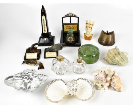 A group of collectors' items including shells, taxidermy blue tit and whinchat (both af) and a horse's hoof, glass paperweigh