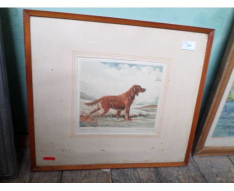 Framed signed print of an Irish Setter in plain contemporary frame