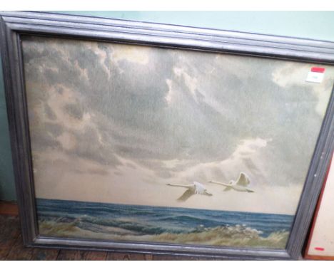 Grey framed Marinescape print of a pair of Swans in flight crossing the seashore 