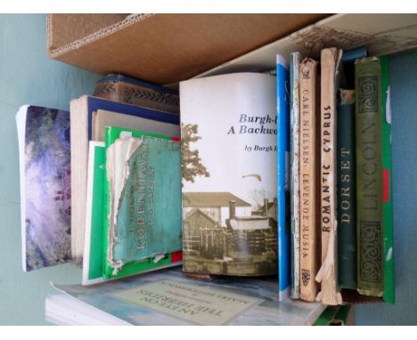 Box of books on travel, historical Lincoln (Bells Cathedral series), Ordnance survey map of Great Britain etc.