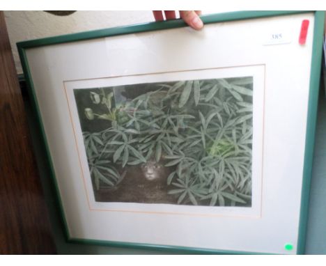 Signed Mary Harper Print of a cat like creature camouflaged in green undergrowth