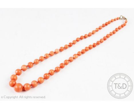 A graduated coral coloured bead necklace, comprising fifty four graduated beads with bolt ring clasp, 34.5gms, 45cm long   CO