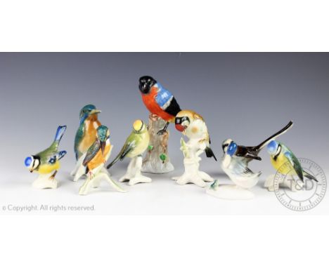 A collection of nine ceramic models of birds comprising four Karl Ens models including a kingfisher, thee Goebel models, a Ge