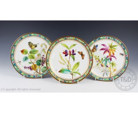 Eleven late 19th century Royal Worcester plates, each painted with floral and fauna within a scrolling border, 23cm diameter 