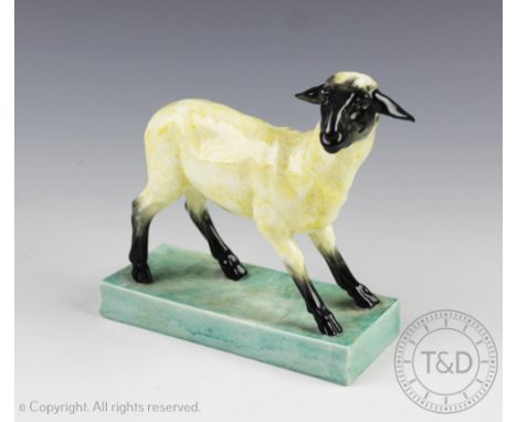 A Royal Worcester figure of a sheep modelled by Bargas, Rd No.807462, modelled standing on a rectangular green plinth base, m