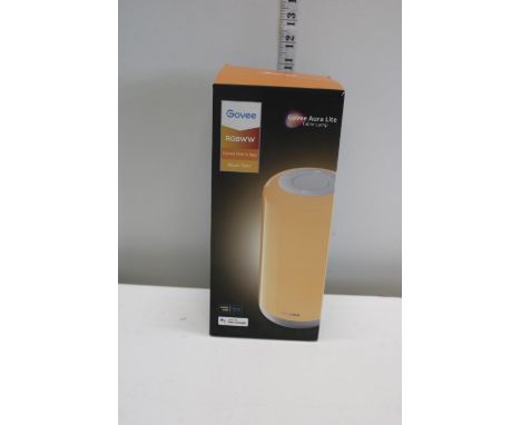 A Govee Aura Lite table lamp 