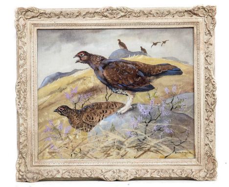 * RALSTON GUDGEON RSW (SCOTTISH 1910 - 1984), GROUSE mixed media on board, signed, titled versoframed and under glass image s
