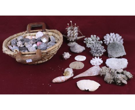 An assortment of vintage sea shells and corals. Contained in two baskets. Max. H16cm