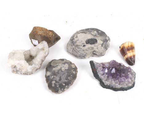 A collection of fossils and minerals. Including a trilobite, an amethyst matrix, a smokey quartz crystal, and a knapped flint
