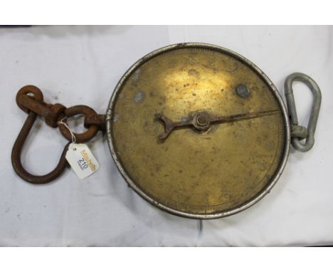 Salter 200 lb scales
