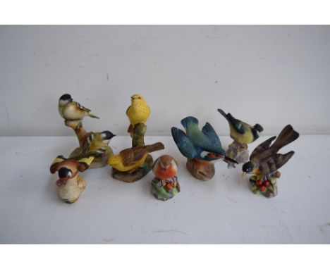 A collection of Royal Worcester china bird figurines including Yellow Hammer, Cole Tits, Robin, Goldfinch, Great Tit, Kingfis