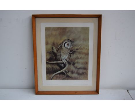 A selection of pictures to include three Corot style prints of landscapes with figures, a print of a white faced owl, a Frenc