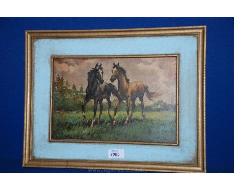 A Portrait of two colts in blue bordered frame.  17'' x 13''