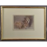 NEIL FORSTER (1940-2016) 'Chippo' terrier dog, pastel, signed, Chris Beetles Gallery label, 7.25"