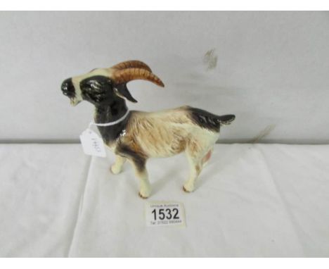 A Goebel nanny goat.