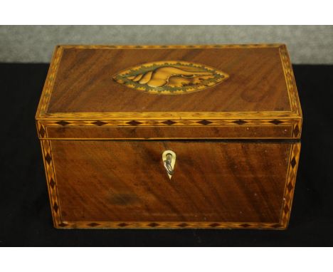 Tea caddy, Georgian mahogany with satinwood inlay. H.12 W.20cm. 