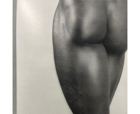 "Robert Mapplethorpe (1946-1989) was an American photographer known for his controversial and provocative black-and-white pho