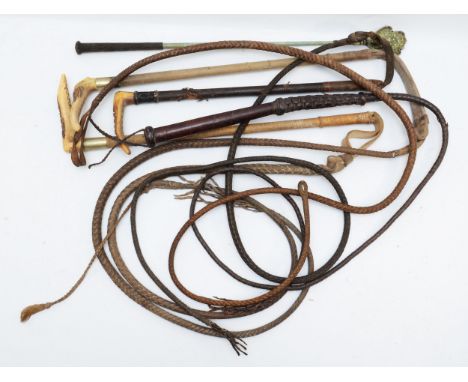 A quantity of leather items to include bone handled whips, leather straps, leads, chains and chokers. (1 carton full of leath