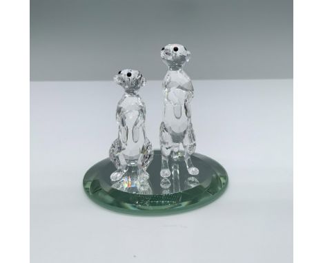 Adorable piece of two meerkats in their characteristically standing position. One is taller than the other to add tenderness 