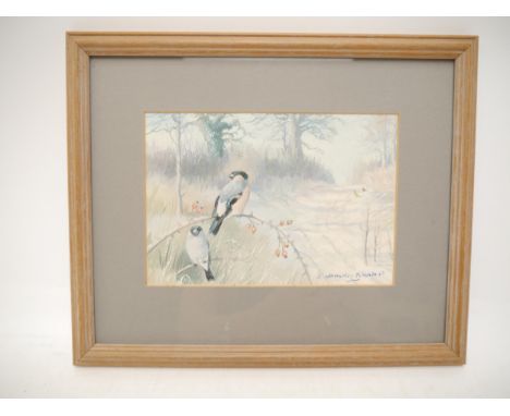 Denys Watkins-Pitchford 'BB', a small colour print depicting bull finches, signed 'D.Watkins-Pitchford' bottom right in blue 