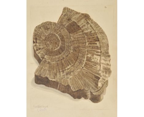 Martin (William). Petrificata Derbiensia; Or, Figures and Descriptions of Petrifactions Collected in Derbyshire, 1st edition,