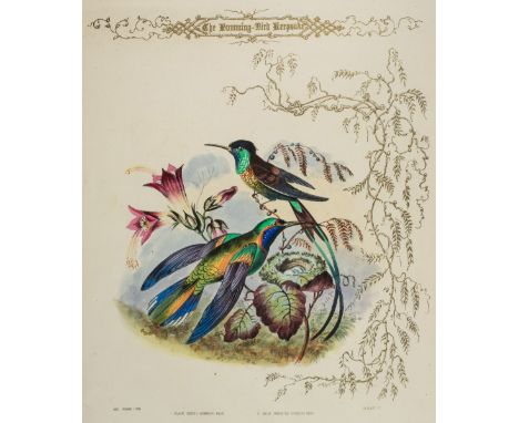 Jerrard (Paul). The Humming Bird Keepsake Book of Bird Beauty. The Birds Painted among Nests and Flowers by Paul Jerrard, The