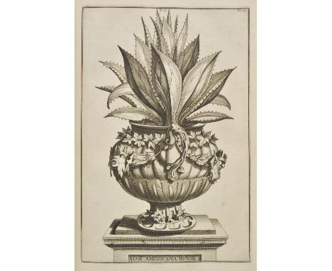 Munting (Abraham). Naauwkeurige beschryving der aardgewassen, published Francois Halma & Pieter Van der Aa, Utrecht & Leiden,