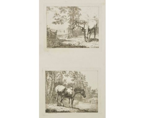 Hills (Robert). Etchings of Asses and Mules, Published by R. Hills, 1808, 98 etchings on 56 plates, dust-soiling and spotting