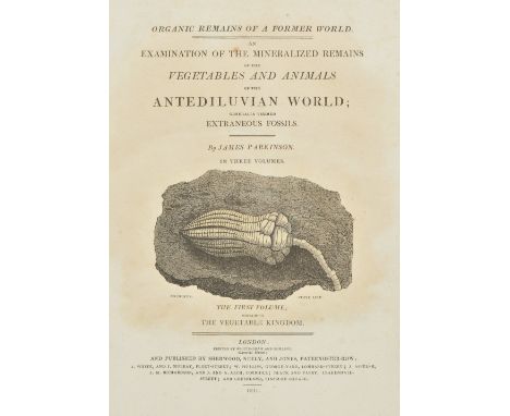 Parkinson (James). Organic Remains of a Former World. Examination of the Mineralised Remains of the Vegetables and Animals of