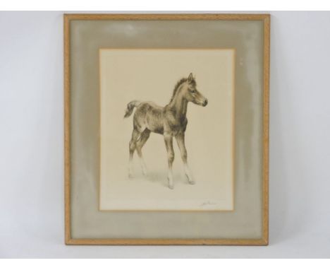 Kurt Meyer-Eberhardt (1895-1977)YOUNG FOALEtching, pencil signed