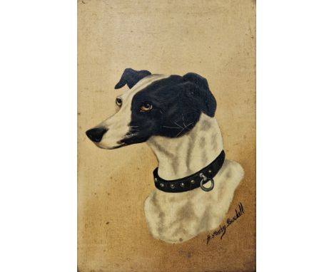 H. Stanley Burchell (mid-20th century) Oil on board Portrait of a hound, wearing a black collar, signed lower right, 37cm x 2