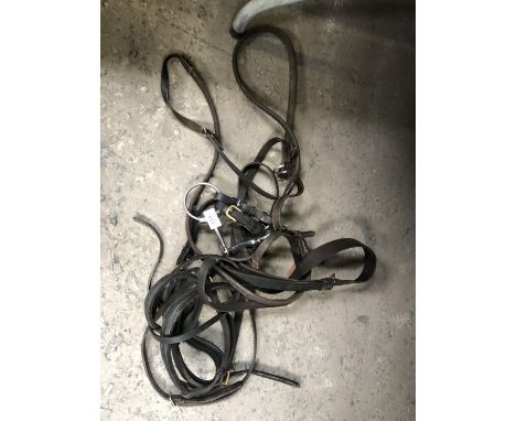 A LEATHER FULL SIZE BRIDLE WITH RUNNING MARTINGALE, LOOSE RING SNAFFLE BIT AND RUBBER REINS 