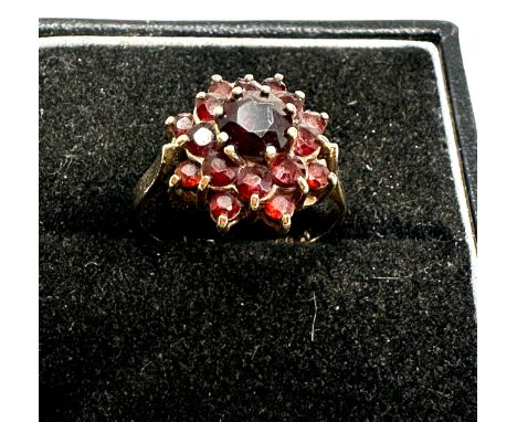 9ct gold vintage garnet cluster ring (2.5g)