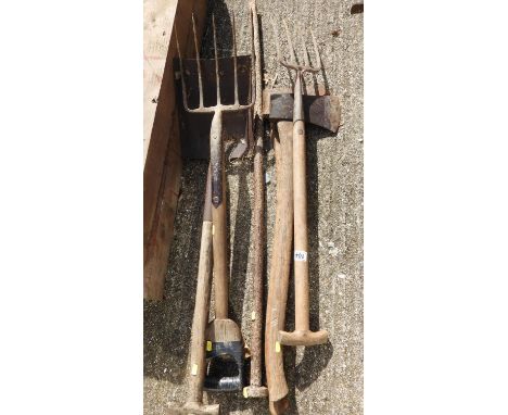 Quantity of Garden Tools 