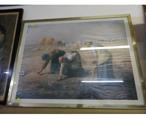 Framed Print - Harvest 