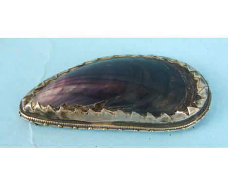 A snuff box in the form of a white-metal-mounted mussel shell, unmarked, 7.5cm long.